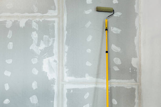 Professional Mold Removal in Malden, MO