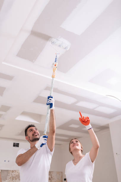 Best Water Damage & Mold Remediation  in Malden, MO