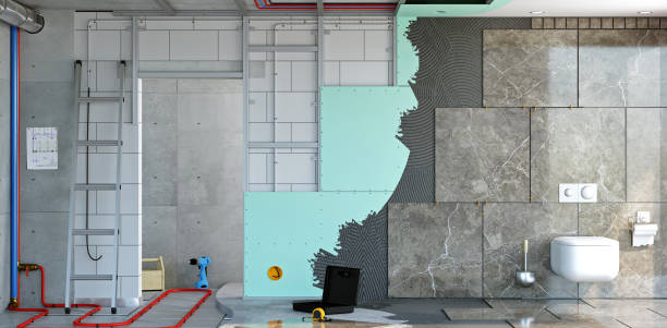 Best Basement Mold Removal  in Malden, MO