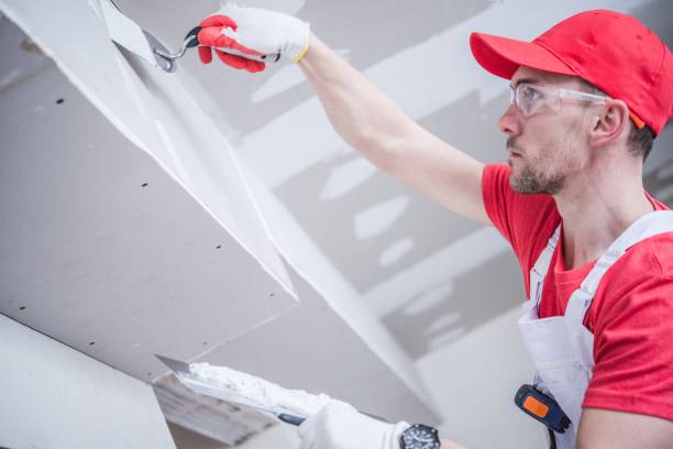 Best Dehumidification Services  in Malden, MO